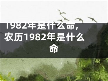 1982年是什么命,农历1982年是什么命