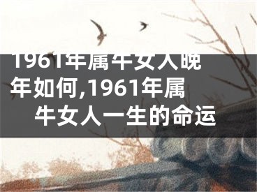 1961年属牛女人晚年如何,1961年属牛女人一生的命运