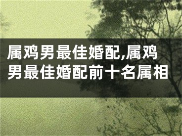 属鸡男最佳婚配,属鸡男最佳婚配前十名属相