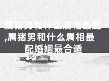 属猪男和什么属相最配,属猪男和什么属相最配婚姻最合适