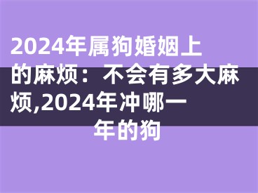 2024年属狗婚姻上的麻烦：不会有多大麻烦,2024年冲哪一年的狗