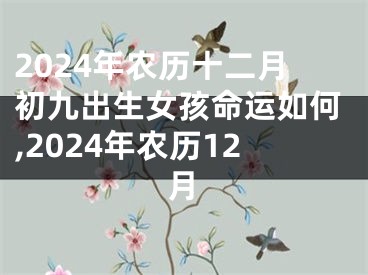 2024年农历十二月初九出生女孩命运如何,2024年农历12月
