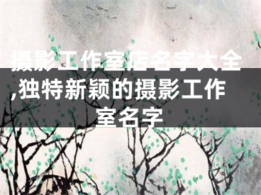 摄影工作室店名字大全,独特新颖的摄影工作室名字