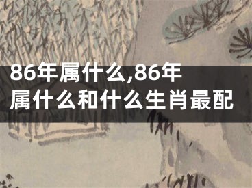86年属什么,86年属什么和什么生肖最配
