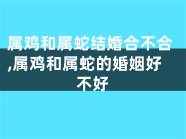 属鸡和属蛇结婚合不合,属鸡和属蛇的婚姻好不好