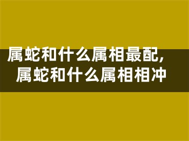 属蛇和什么属相最配,属蛇和什么属相相冲