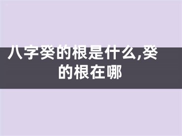 八字癸的根是什么,癸的根在哪