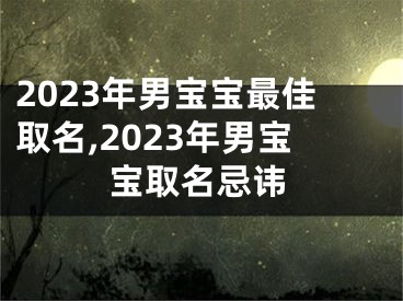 2023年男宝宝最佳取名,2023年男宝宝取名忌讳