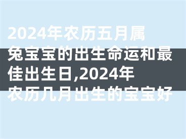 2024年农历五月属兔宝宝的出生命运和最佳出生日,2024年农历几月出生的宝宝好