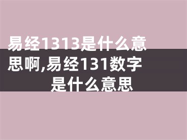 易经1313是什么意思啊,易经131数字是什么意思