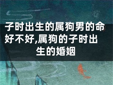 子时出生的属狗男的命好不好,属狗的子时出生的婚姻