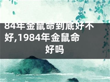 84年金鼠命到底好不好,1984年金鼠命好吗