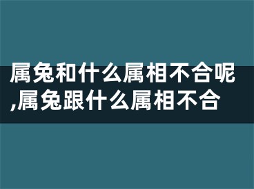 属兔和什么属相不合呢,属兔跟什么属相不合