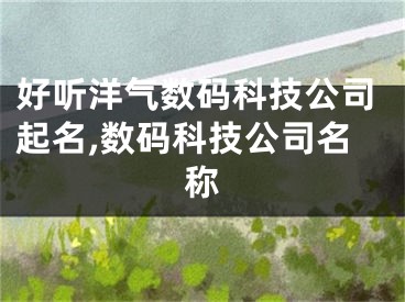 好听洋气数码科技公司起名,数码科技公司名称