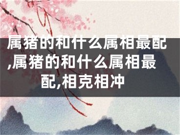 属猪的和什么属相最配,属猪的和什么属相最配,相克相冲