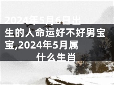 2024年5月6日出生的人命运好不好男宝宝,2024年5月属什么生肖