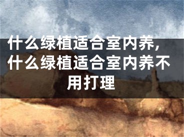 什么绿植适合室内养,什么绿植适合室内养不用打理