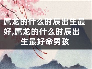 属龙的什么时辰出生最好,属龙的什么时辰出生最好命男孩