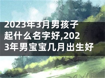 2023年3月男孩子起什么名字好,2023年男宝宝几月出生好