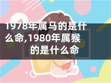 1978年属马的是什么命,1980年属猴的是什么命