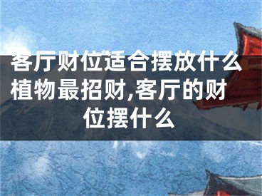 客厅财位适合摆放什么植物最招财,客厅的财位摆什么