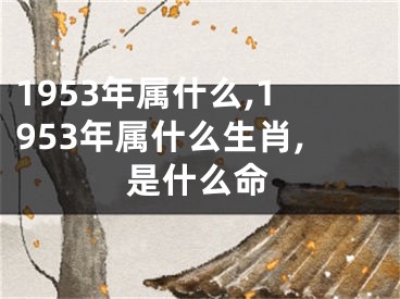 1953年属什么,1953年属什么生肖,是什么命