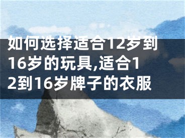 如何选择适合12岁到16岁的玩具,适合12到16岁牌子的衣服
