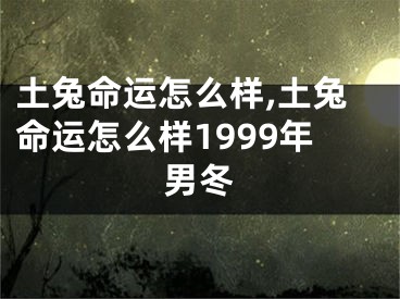 土兔命运怎么样,土兔命运怎么样1999年男冬