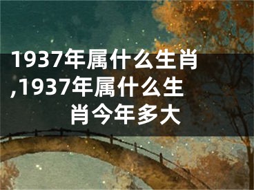 1937年属什么生肖,1937年属什么生肖今年多大
