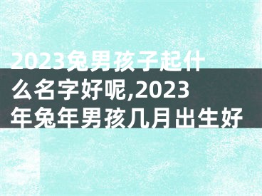 2023兔男孩子起什么名字好呢,2023年兔年男孩几月出生好