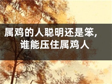 属鸡的人聪明还是笨,谁能压住属鸡人