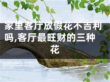家里客厅放假花不吉利吗,客厅最旺财的三种花