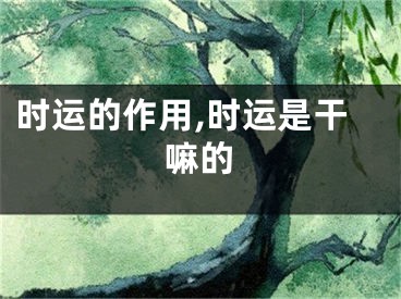 时运的作用,时运是干嘛的