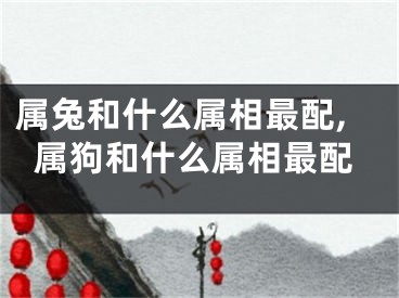 属兔和什么属相最配,属狗和什么属相最配