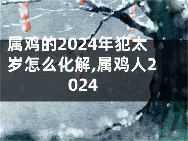 属鸡的2024年犯太岁怎么化解,属鸡人2024