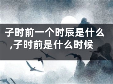 子时前一个时辰是什么,子时前是什么时候