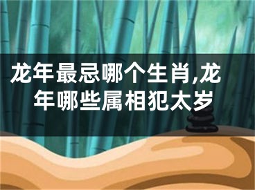 龙年最忌哪个生肖,龙年哪些属相犯太岁