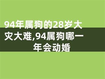 94年属狗的28岁大灾大难,94属狗哪一年会动婚