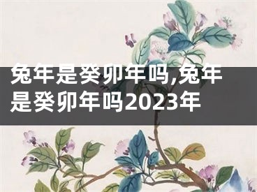 兔年是癸卯年吗,兔年是癸卯年吗2023年