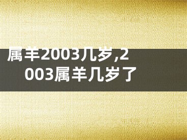 属羊2003几岁,2003属羊几岁了