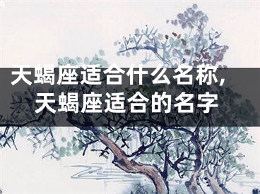 天蝎座适合什么名称,天蝎座适合的名字