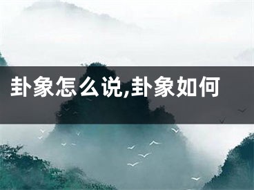 卦象怎么说,卦象如何