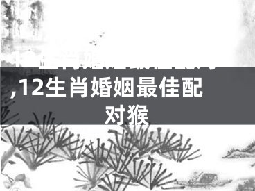 12生肖婚姻最佳配对,12生肖婚姻最佳配对猴