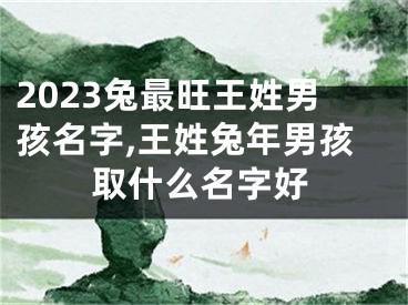 2023兔最旺王姓男孩名字,王姓兔年男孩取什么名字好