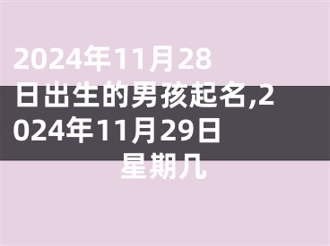 2024年11月28日出生的男孩起名,2024年11月29日星期几