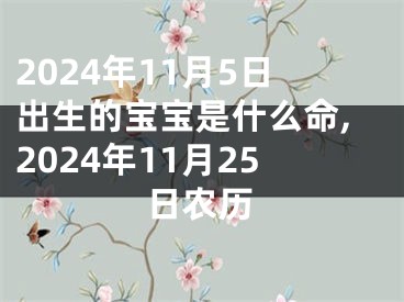 2024年11月5日出生的宝宝是什么命,2024年11月25日农历