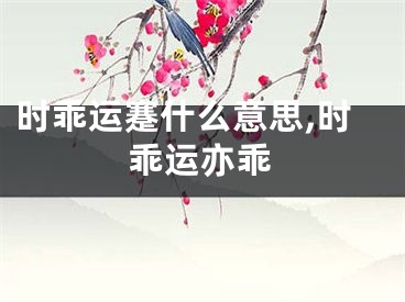 时乖运蹇什么意思,时乖运亦乖