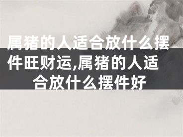 属猪的人适合放什么摆件旺财运,属猪的人适合放什么摆件好