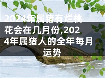 2024年属猪有烂桃花会在几月份,2024年属猪人的全年每月运势