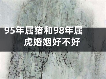 95年属猪和98年属虎婚姻好不好